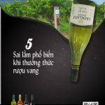 5 Sai Lầm Phổ Biến Khi Thưởng Thức Rượu Vang/ 5 Common Mistakes When Enjoying Wine