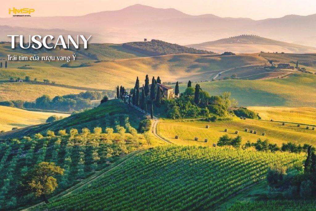 Tuscany - Trái tim của rượu vang Ý