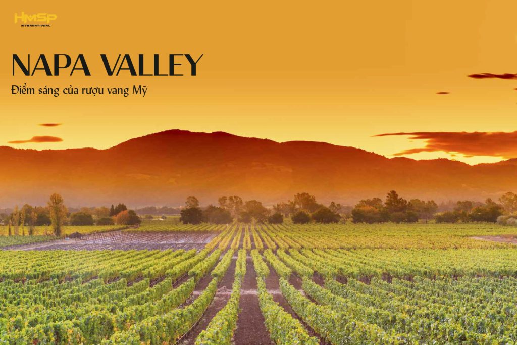 Napa Valley - Điểm sáng của rượu vang Mỹ