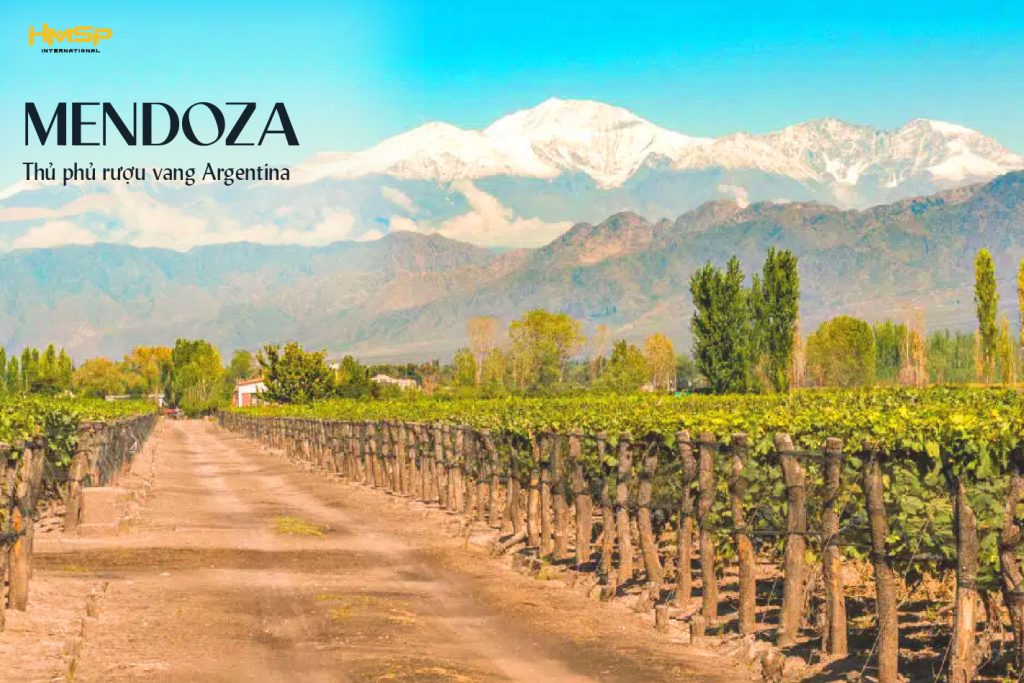 Mendoza - Thủ phủ rượu vang của Argentina