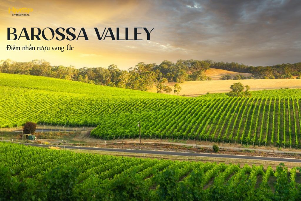 Barossa Valley - Điểm nhấn của rượu vang Úc