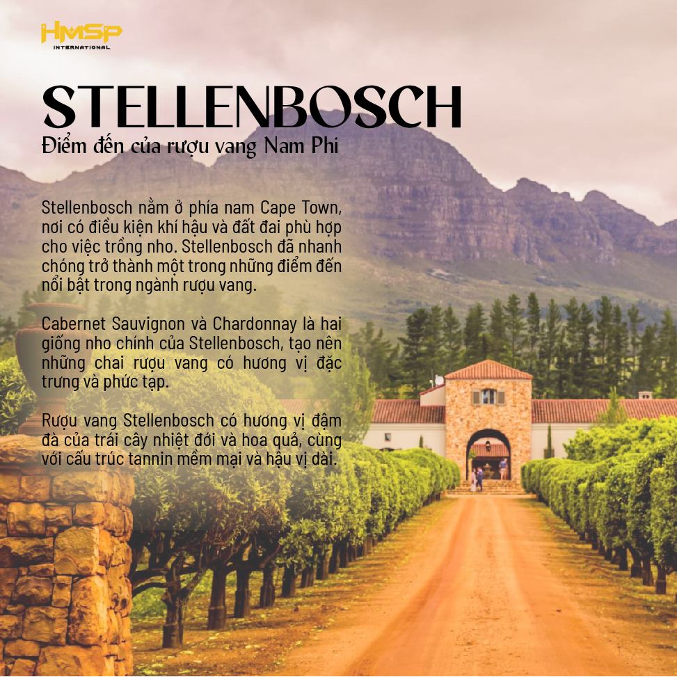 Stellenbosch - Điểm đến của rượu vang Nam Phi