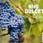 Giống nho Dolcetto – Tinh hoa của vùng Piemonte